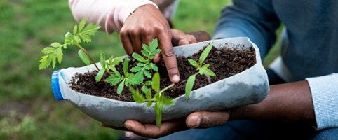 Gardening with an empty milk jug and soil