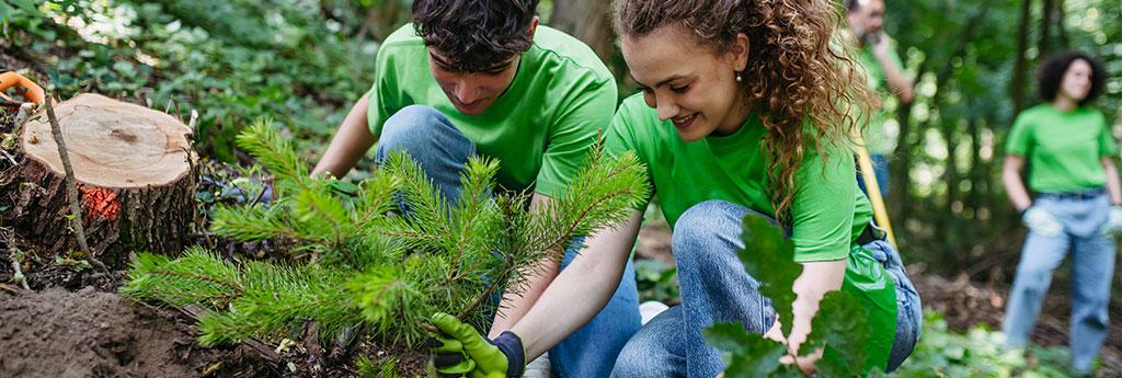 People gardening together outside