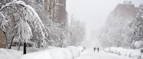 Block of cars covered in snow