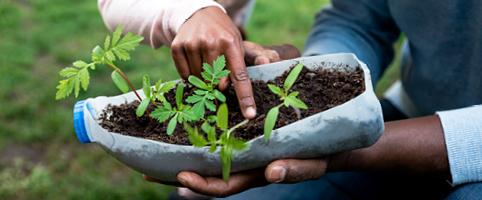 Gardening with an empty milk jug and soil